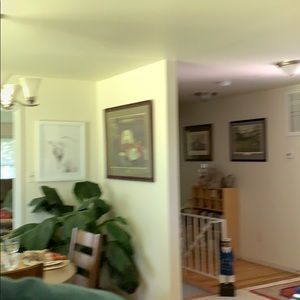 Meet your Posher, Leonard